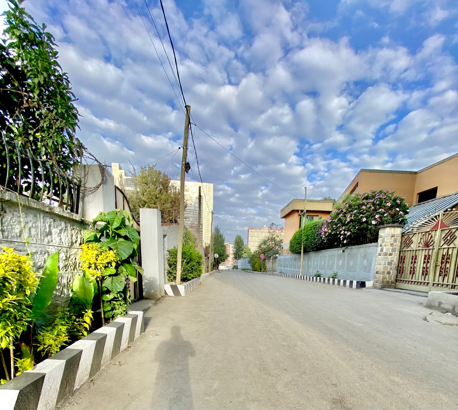 ARK Luxury Garden Villa — Villa · Private garden furnished stay in Addis Ababa